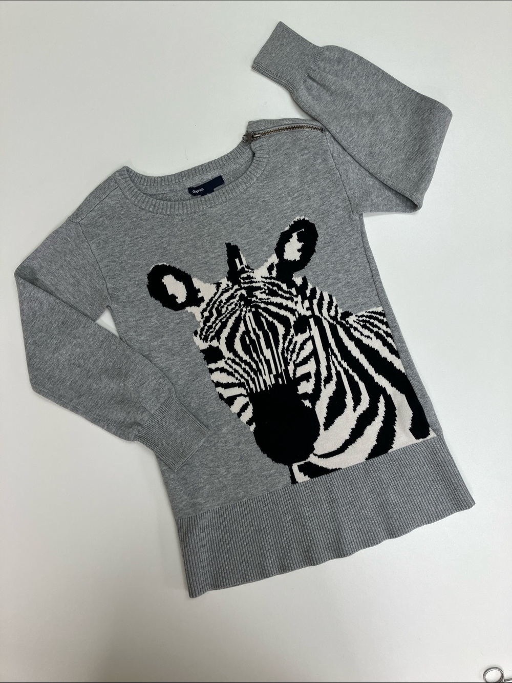 GAP Kids Zebra Sweater (size S)